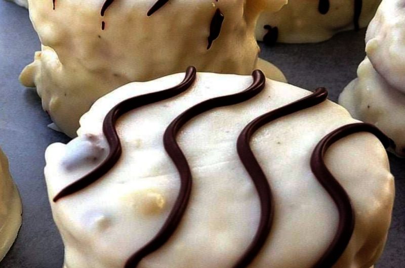 homemade zebra cakes recipe a delicious fun and family friendly treat