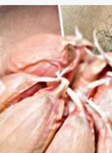 how to permanently get rid of facial body and pubic hair naturally 3 powerful diy remedies