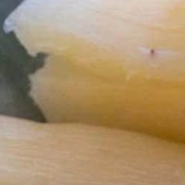 how to safely prepare cassava the worlds deadliest food turned nutritious staple