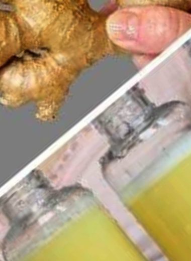immune boosting pineapple ginger shot recipe a zesty wellness elixir