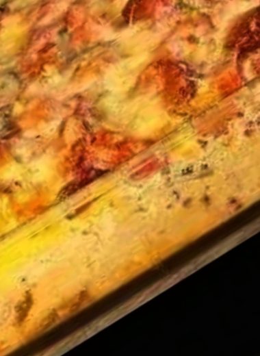 indulgent chicken cordon bleu lasagna a hearty comfort food recipe