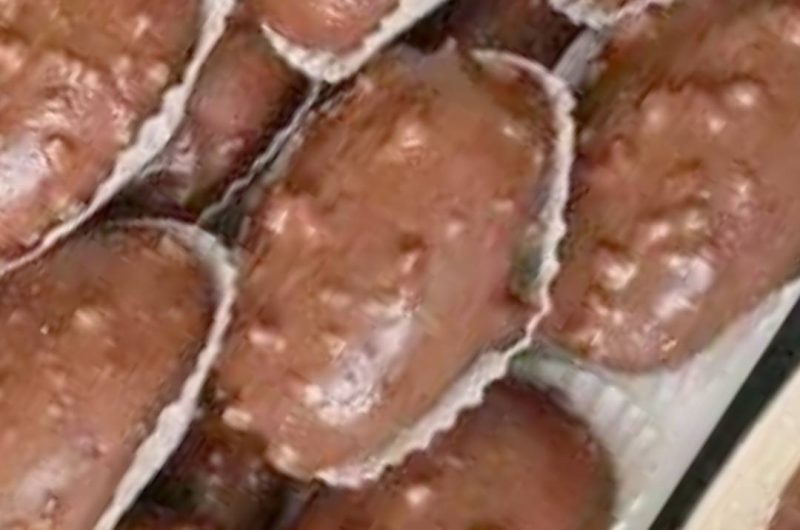 irresistible chocolate dipped yogurt cookies a sweet treat for every occasion