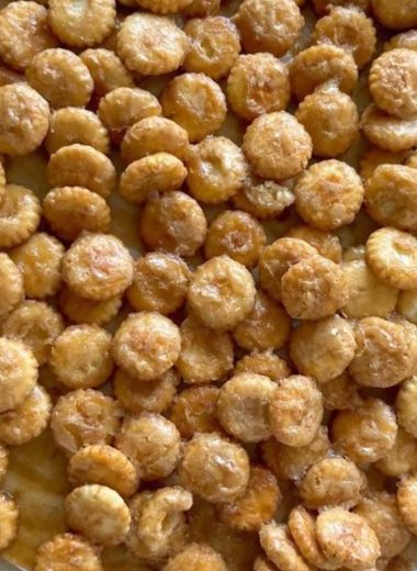 irresistible salted caramel cracker bites recipe sweet salty and crunchy perfection