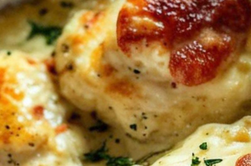 juicy parmesan crusted chicken recipe creamy cheesy and irresistible