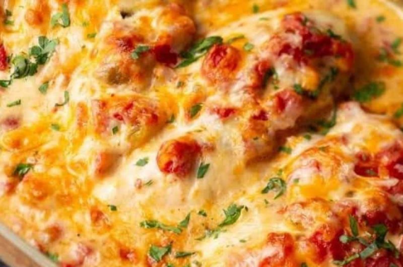 juicy queso chicken recipe easy cheesy and full of flavor
