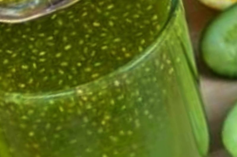 lemon and cucumber the ultimate refreshing duo for health and beauty