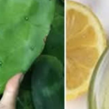 lemon and nopal juice recipe a refreshing natural remedy for health and wellness