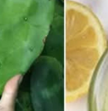 lemon and nopal juice recipe a refreshing natural remedy for health and wellness