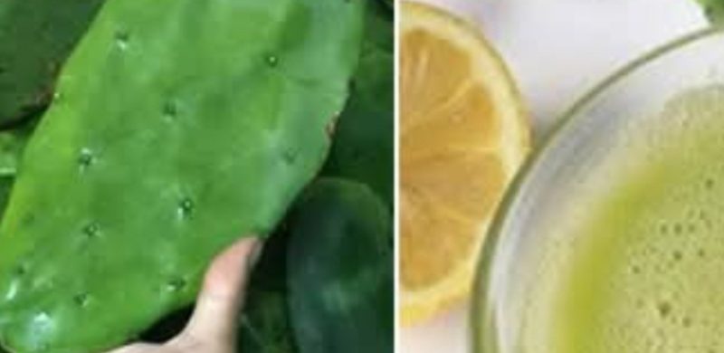 lemon and nopal juice recipe a refreshing natural remedy for health and wellness