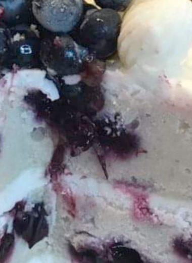 moist lemon blueberry cake recipe a perfect summer dessert