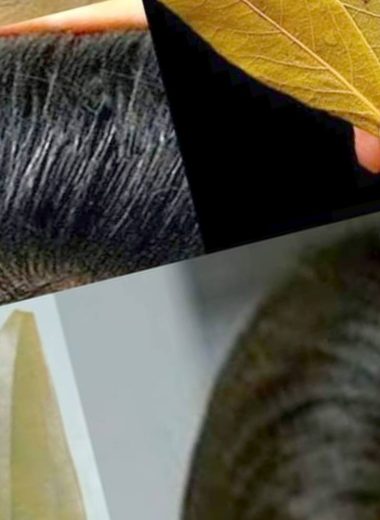 natural gray hair solution 2 minute remedy for youthful hair