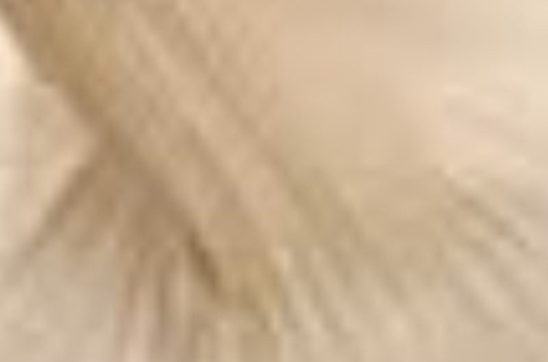 natural hair removal with garlic a simple effective diy solution