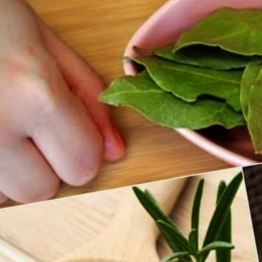 natural joint and bone pain relief herbal remedy with bay leaves rosemary and olive oil