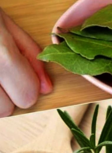 natural joint and bone pain relief herbal remedy with bay leaves rosemary and olive oil