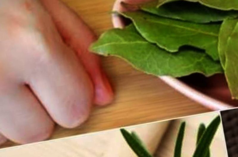 natural joint and bone pain relief herbal remedy with bay leaves rosemary and olive oil