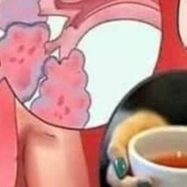natural phlegm remover syrup relieve cough flu and sinusitis with this powerful home remedy