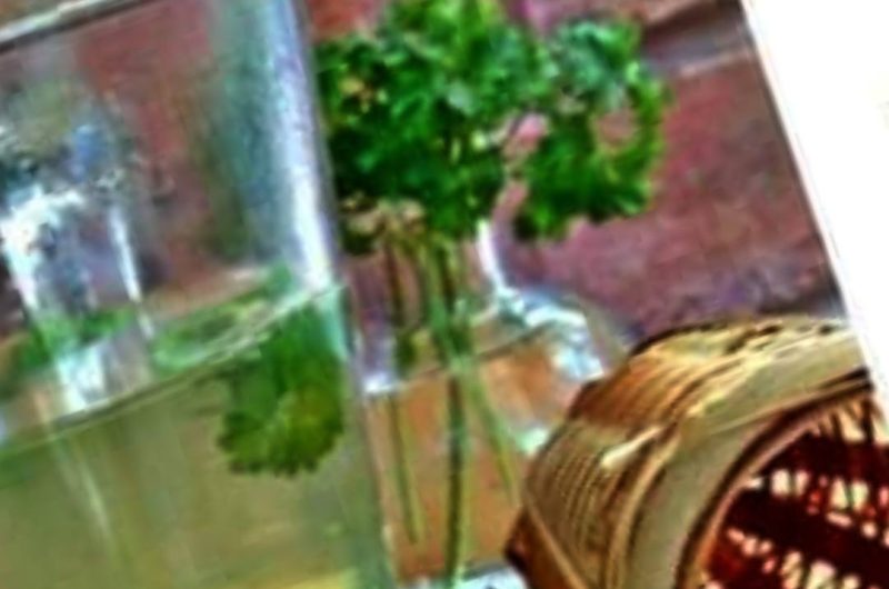 natural relief for swollen legs ankles and feet soothing parsley tea recipe