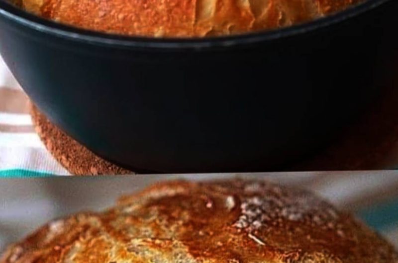 no knead artisan bread recipe easy impressive and perfectly crusty