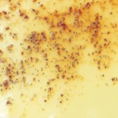 old fashioned custard pie recipe creamy classic and irresistible