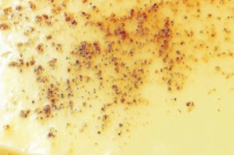 old fashioned custard pie recipe creamy classic and irresistible