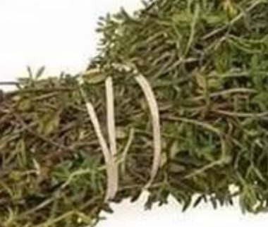 oregano oil the ultimate natural remedy for parasites urinary tract infections and more