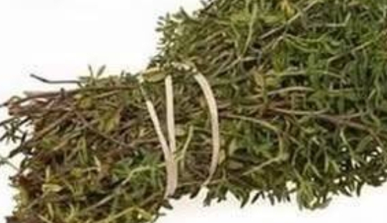 oregano oil the ultimate natural remedy for parasites urinary tract infections and more