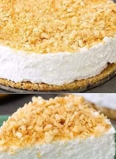 paradise cheesecake recipe a tropical dessert delight