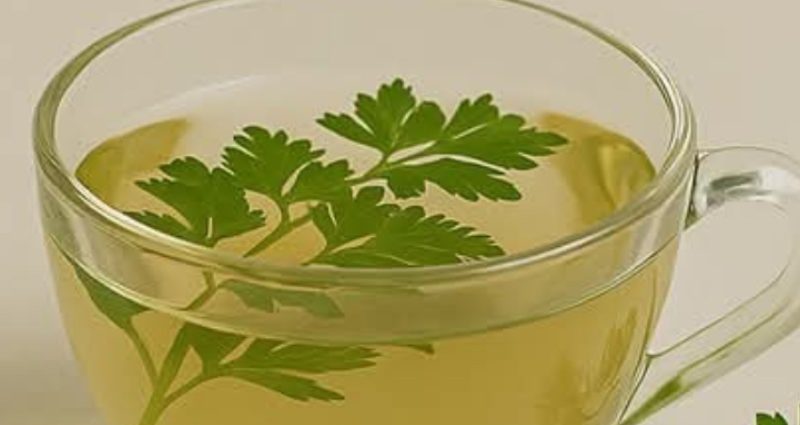 parsley tea recipe natural swelling relief for legs ankles and feet
