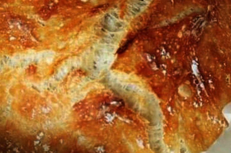 perfect no knead bread recipe easy impressive and foolproof