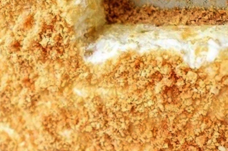 pineapple dream dessert recipe a tropical no bake delight