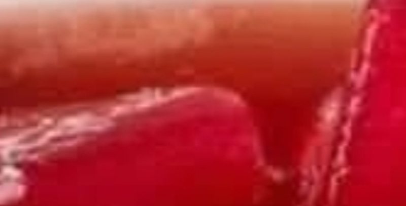 powerful fat burning drink to reduce belly fat fast lemon ginger and acv recipe