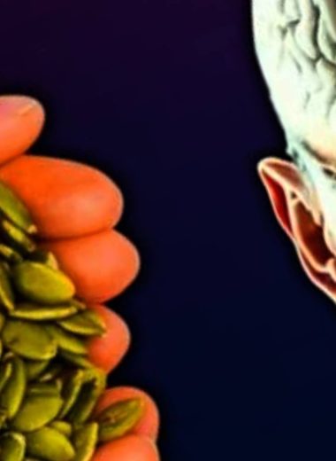 pumpkin seeds the tiny superfood that transforms your health