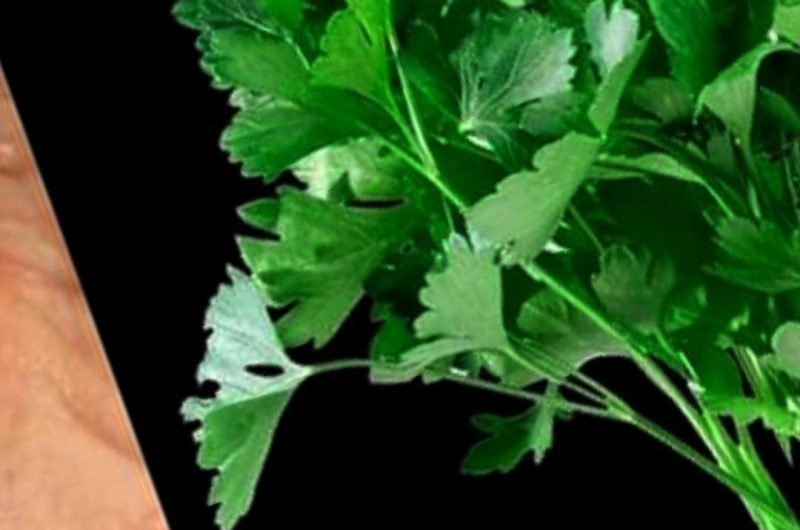 restore your vision naturally with this powerful parsley drink recipe