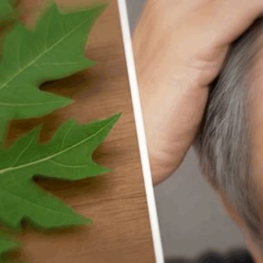 revitalize your hair with papaya leaf magic natural remedies for youthful locks
