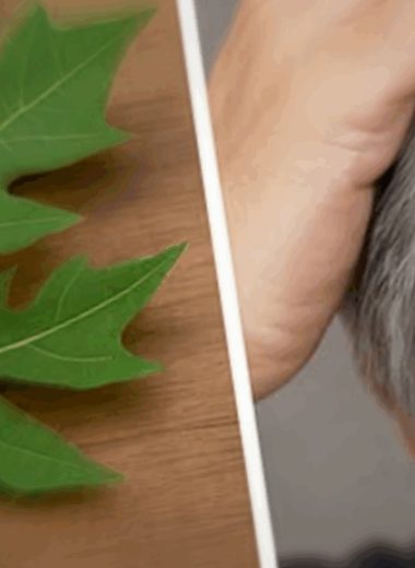 revitalize your hair with papaya leaf magic natural remedies for youthful locks