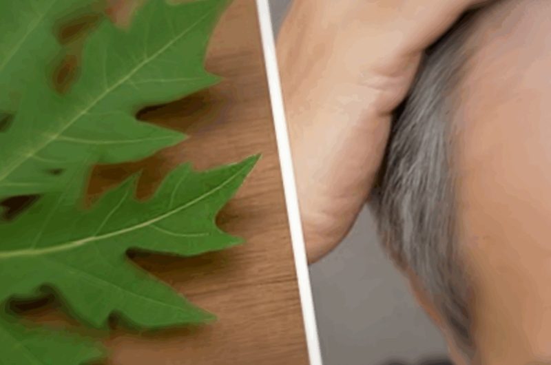 revitalize your hair with papaya leaf magic natural remedies for youthful locks