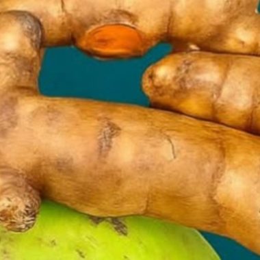 revolutionary 2025 herbal elixir recipe boost health and vitality naturally