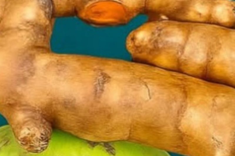 revolutionary 2025 herbal elixir recipe boost health and vitality naturally
