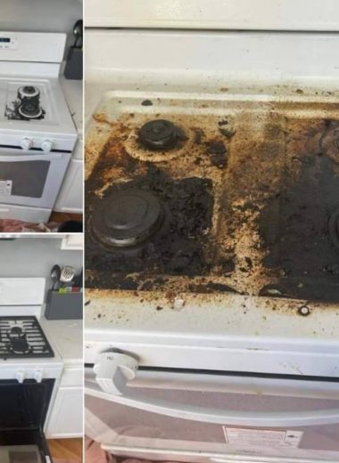 sparkling clean diy natural oven cleaner recipe for a chemical free shine