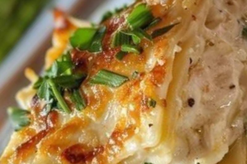 spring vegetable and chicken alfredo lasagna a crowd pleasing dinner party recipe
