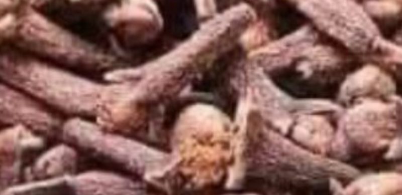 sweet cloves for weight loss the ultimate fat burning spice guide