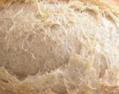 the ultimate no knead sandwich bread recipe soft fluffy and incredibly easy