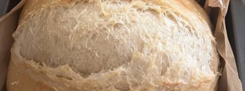 the ultimate no knead sandwich bread recipe soft fluffy and incredibly easy