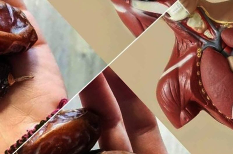 transform your health the power of eating two dates daily