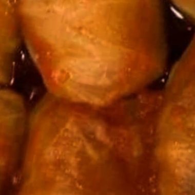 ultimate homemade stuffed cabbage rolls recipe a hearty comfort food classic