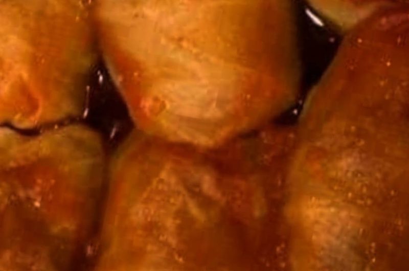ultimate homemade stuffed cabbage rolls recipe a hearty comfort food classic