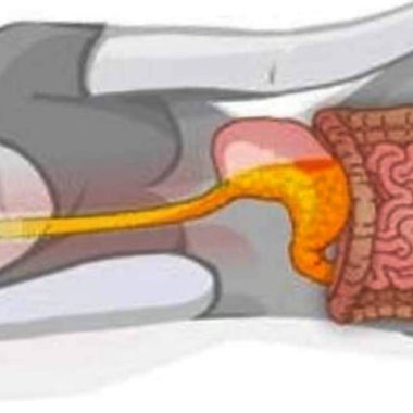 unlock better sleep and health the benefits of sleeping on your left side 1