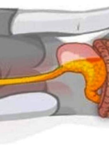 unlock better sleep and health the benefits of sleeping on your left side 1