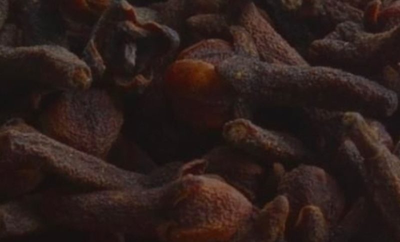 unlock the power of cloves 8 surprising health benefits and how to use them